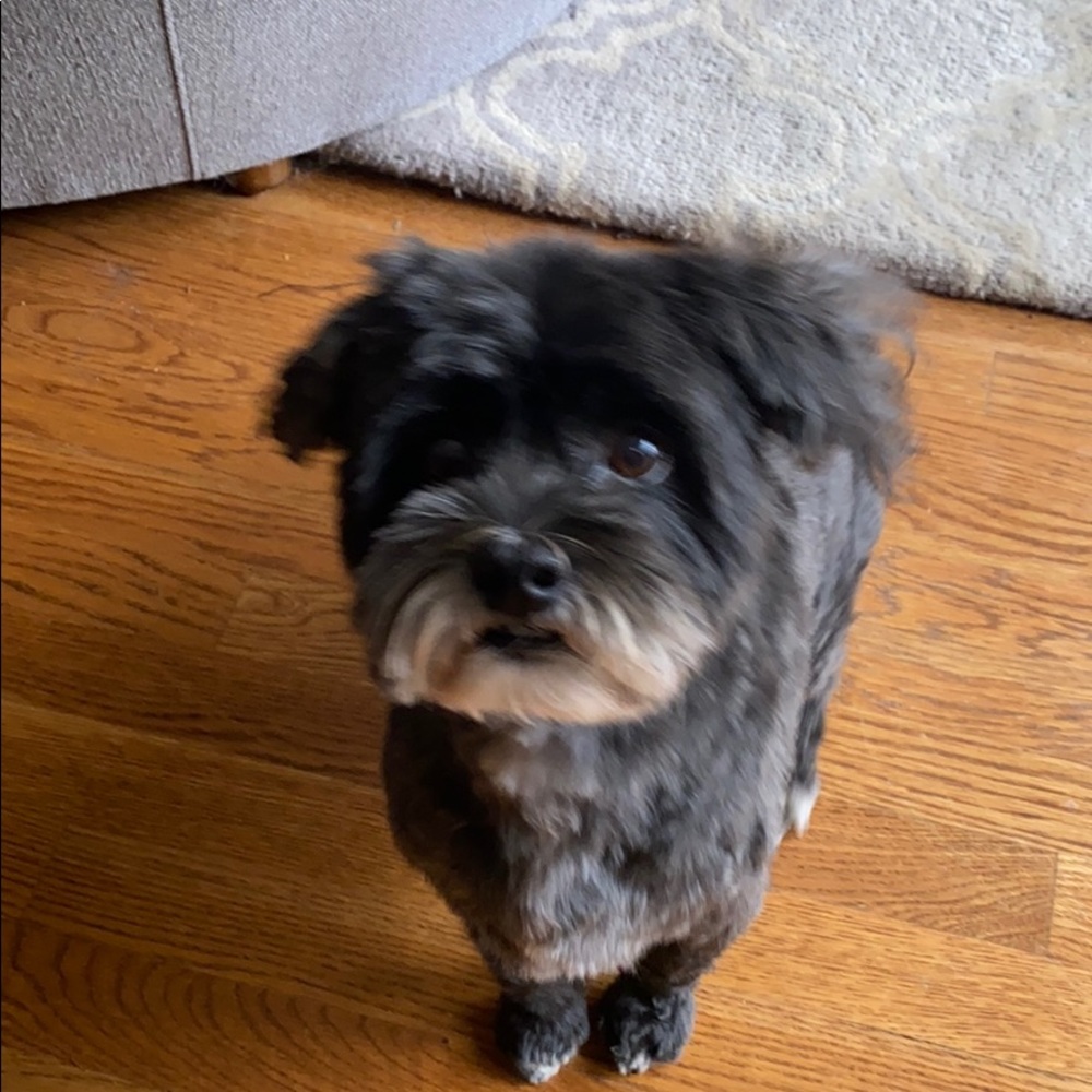 Meet your Posher, Ann